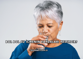 Bol Bol Su İçmenin Faydaları Nelerdir?