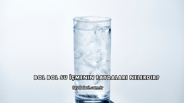 Bol Bol Su İçmenin Faydaları Nelerdir?