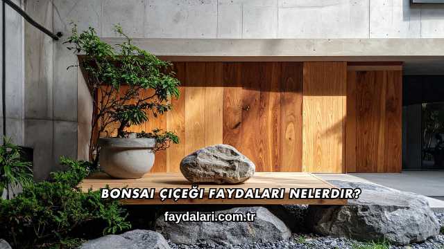 Bonsai Çiçeği Faydaları Nelerdir?