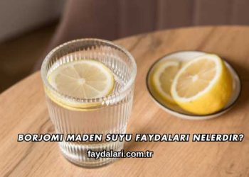 Borjomi Maden Suyu Faydaları Nelerdir?