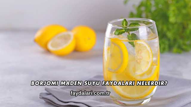 Borjomi Maden Suyu Faydaları Nelerdir?
