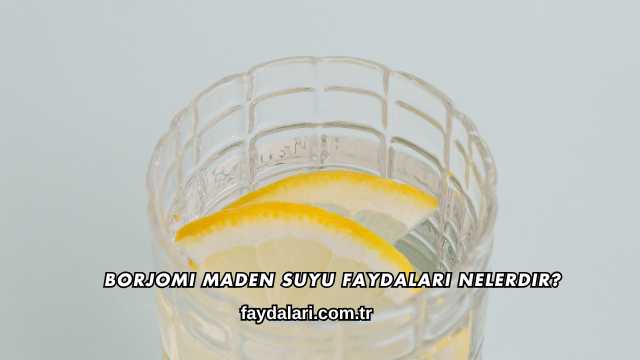 Borjomi Maden Suyu Faydaları Nelerdir?