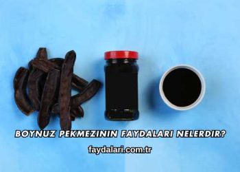 Boynuz Pekmezinin Faydaları Nelerdir?