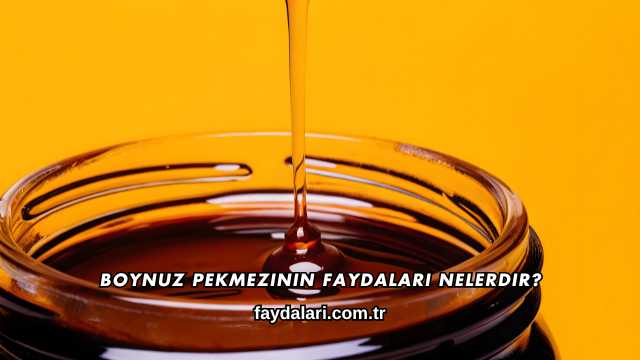 Boynuz Pekmezinin Faydaları Nelerdir?