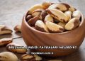 Brezilya Fındığı Faydaları Nelerdir?