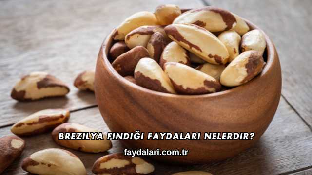 Brezilya Fındığı Faydaları Nelerdir?