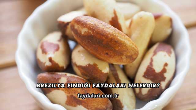 Brezilya Fındığı Faydaları Nelerdir?