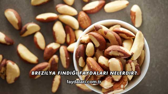 Brezilya Fındığı Faydaları Nelerdir?