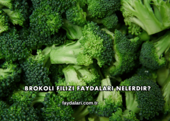 Brokoli Filizi Faydaları Nelerdir?