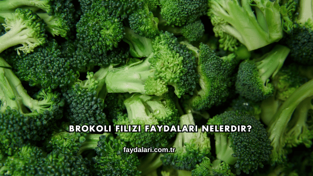 Brokoli Filizi Faydaları Nelerdir?