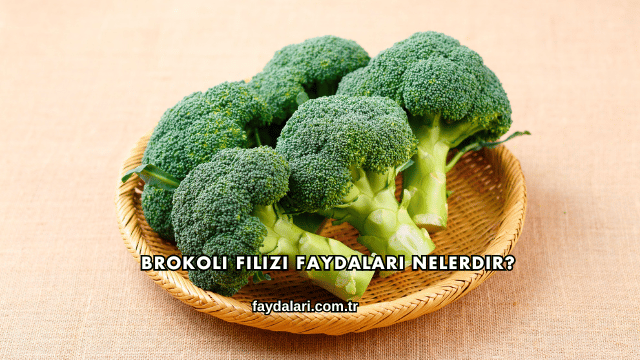 Brokoli Filizi Faydaları Nelerdir?