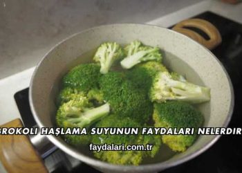 Brokoli Haşlama Suyunun Faydaları Nelerdir?