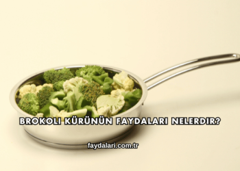 Brokoli Kürünün Faydaları Nelerdir?