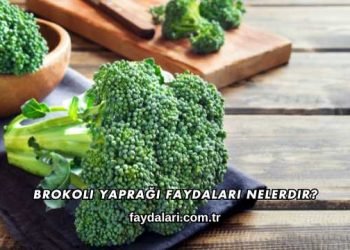 Brokoli Yaprağı Faydaları Nelerdir?