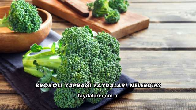 Brokoli Yaprağı Faydaları Nelerdir?