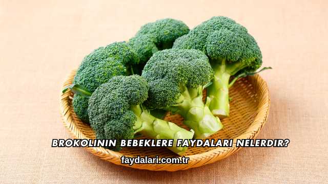 Hamilelikte Folik Asit Faydaları Nelerdir