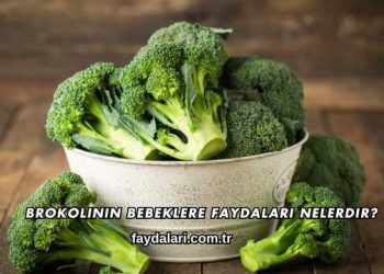 Hamilelikte Folik Asit Faydaları Nelerdir