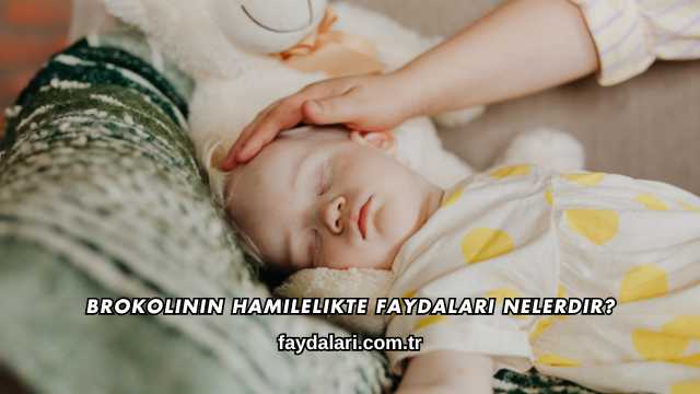 Brokolinin Hamilelikte Faydaları Nelerdir?