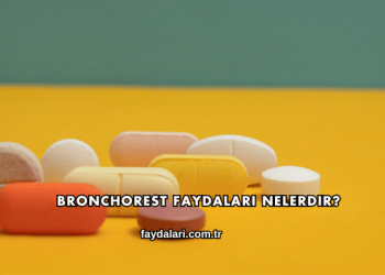 Bronchorest Faydaları Nelerdir?