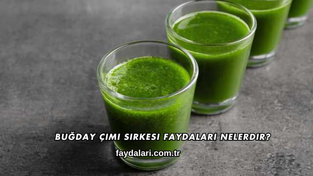 Buğday Çimi Sirkesi Faydaları Nelerdir?