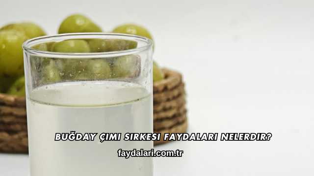 Buğday Çimi Sirkesi Faydaları Nelerdir?