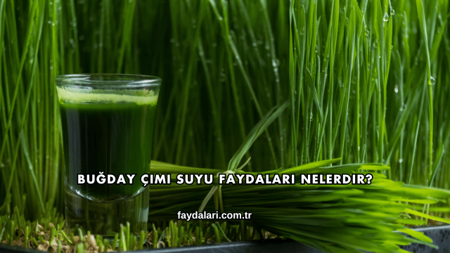 Buğday Çimi Suyu Faydaları Nelerdir?
