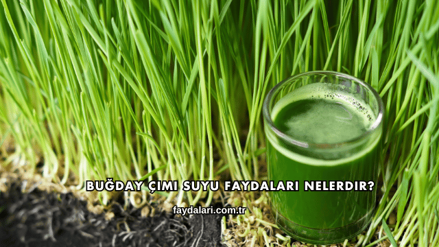 Buğday Çimi Suyu Faydaları Nelerdir?