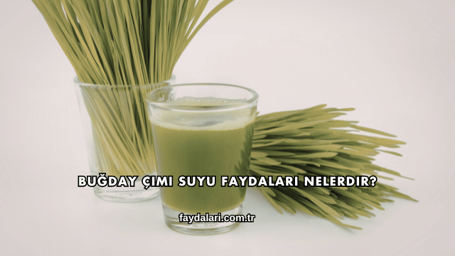 Buğday Çimi Suyu Faydaları Nelerdir?