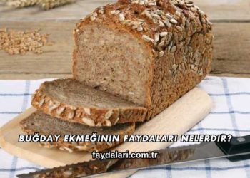 Buğday Ekmeğinin Faydaları Nelerdir?