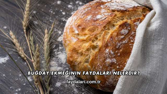 Buğday Ekmeğinin Faydaları Nelerdir?