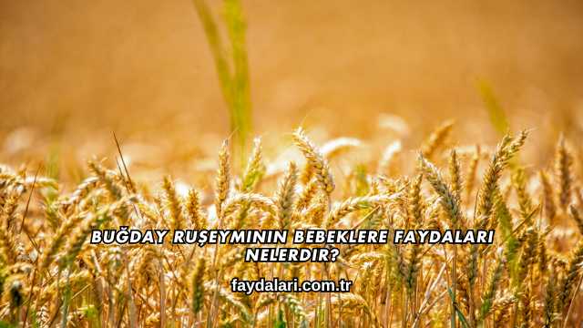Buğday Ruşeyminin Bebeklere Faydaları Nelerdir?