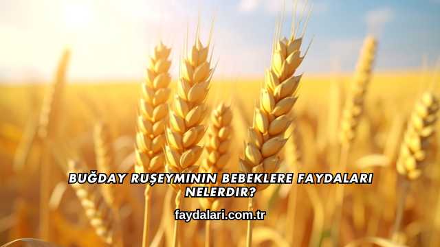 Buğday Ruşeyminin Bebeklere Faydaları Nelerdir?