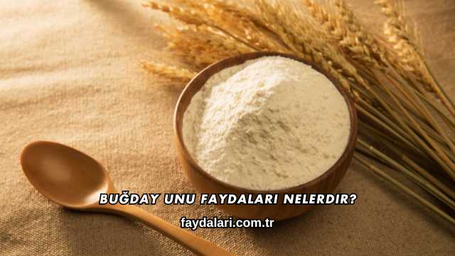 Buğday Unu Faydaları Nelerdir?