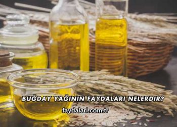 Buğday Yağının Faydaları Nelerdir?