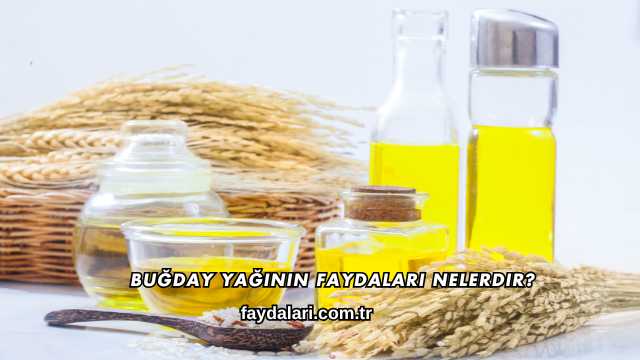 Buğday Yağının Faydaları Nelerdir?
