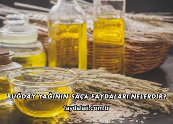 Buğday Yağının Saça Faydaları Nelerdir?