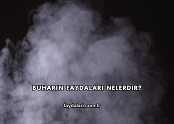 Buharın Faydaları Nelerdir?