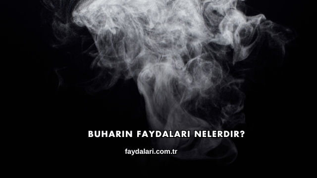 Buharın Faydaları Nelerdir?