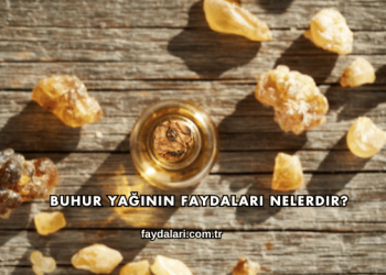 Buhur Yağının Faydaları Nelerdir?