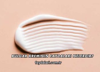 Bulgar Kreminin Faydaları Nelerdir?