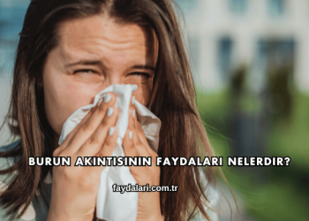 Burun Akıntısının Faydaları Nelerdir?