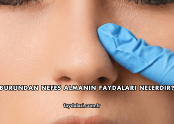 Burundan Nefes Almanın Faydaları Nelerdir?