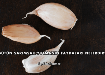 Bütün Sarımsak Yutmanın Faydaları Nelerdir?