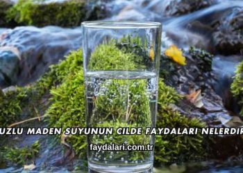 Buzlu Maden Suyunun Cilde Faydaları Nelerdir?