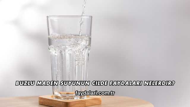 Begonya Çiçeğinin Faydaları Nelerdir?