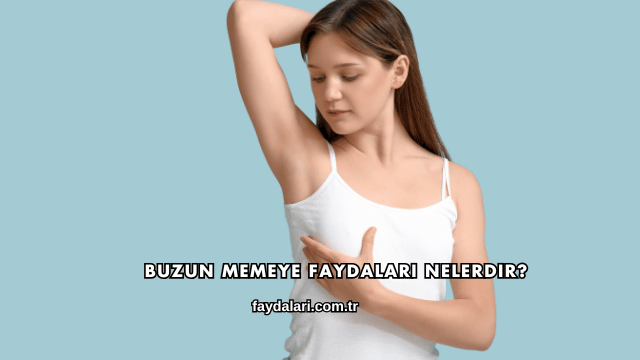 Buzun Memeye Faydaları Nelerdir?