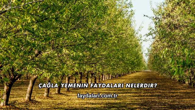 Çağla Yemenin Faydaları Nelerdir?