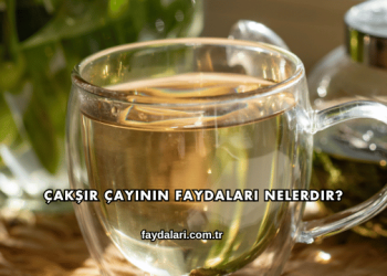 Çakşır Çayının Faydaları Nelerdir?