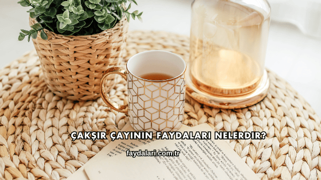 Çakşır Çayının Faydaları Nelerdir?