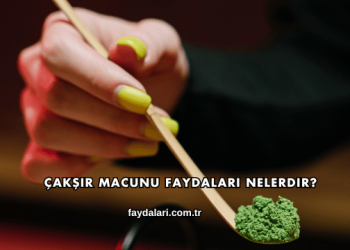Çakşır Macunu Faydaları Nelerdir?